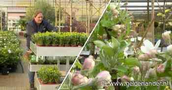 Help, het gaat vriezen! Dit kun je doen om je tuinplanten te beschermen