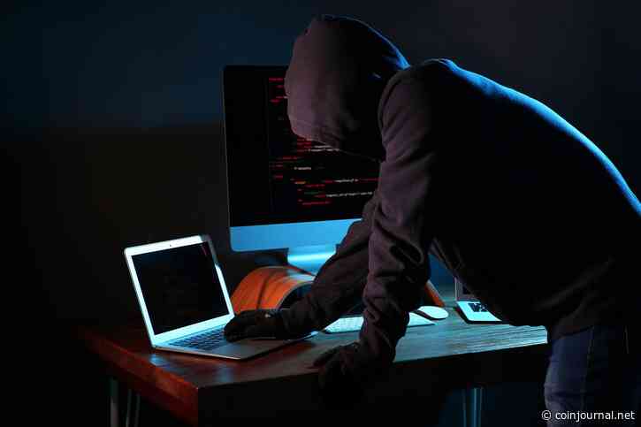 Bitbot gains as Ape Terminal cancels ZKasino IDO