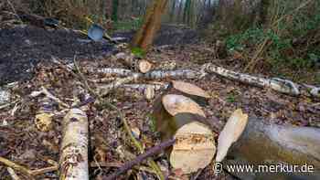 Knochen bei Rodungsarbeiten entdeckt: Mann war seit neun Jahren vermisst gemeldet