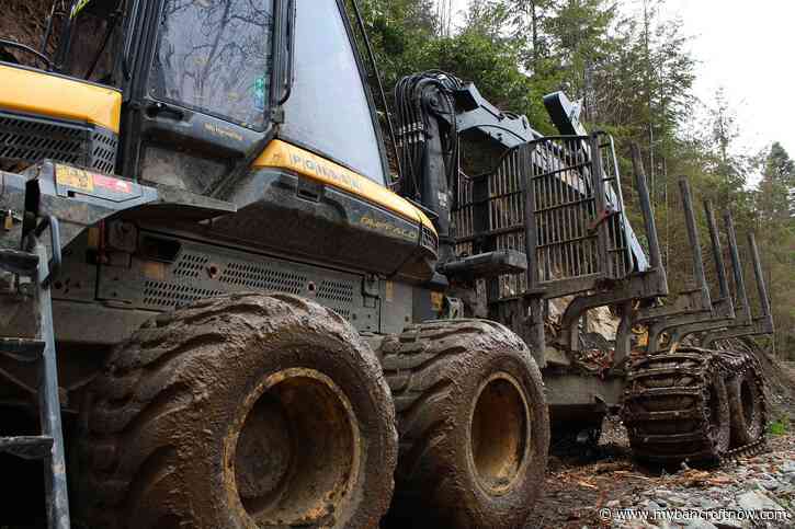 Driver of logging truck facing charge after sliding into ditch and spilling load of logs near Killaloe 