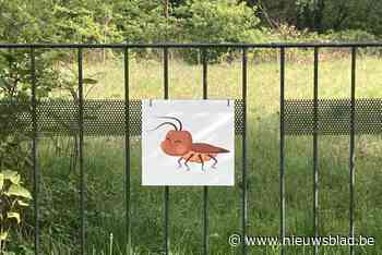 Buren protesteren in privébosje tegen bouw van vergunde nieuwe kerk