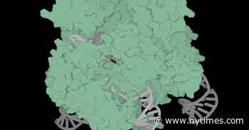 Generative A.I. Arrives in the Gene Editing World of CRISPR