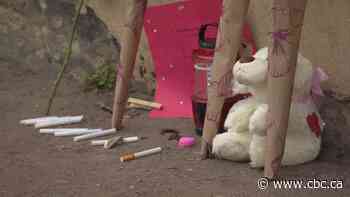 Here's what Saskatoon police have planned to help tackle crime in Pleasant Hill