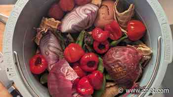 I Tried a Lomi Smart Countertop Composter for a Week. Here's What Happened     - CNET