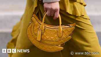 US watchdog sues to block $8.5bn handbag takeover