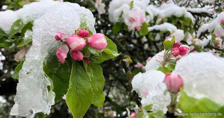 Auch heute Schnee und Glätte – vor allem im Süden