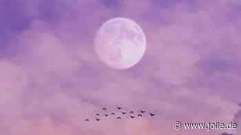 Vollmond am 24. April: Für diese Sternzeichen verändert der "Pink Moon" alles
