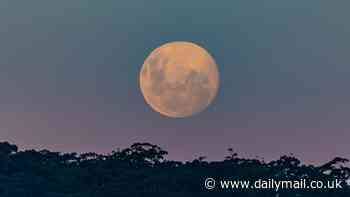 Look up tonight! Full Pink Moon peaks this evening as our entire lunar satellite is lit up by the sun