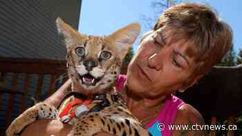 Keeping these exotic pets is 'cruel' and 'dangerous,' Canadian animal advocates say