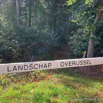 Landschap Overijssel stoort zich aan dumpen van tuinafval in de natuur