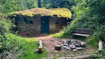 Put away your phone - and unleash your inner hobbit! The top 10 most wish-listed Airbnb 'Earth homes' around the UK, from cosy caves to a Viking longhouse and a secret retreat with on-site ducks and fairy pools
