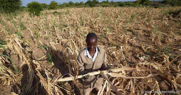 Dürre im Süden Afrikas bedroht 24 Millionen Menschen