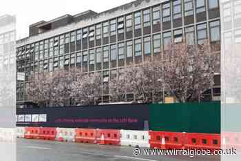 Council accused 'blatant hypocrisy' in town hall trees row