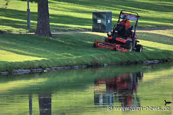 Grüne: Städtische Flächen vor dem Mähen nach Plastikteilen absuchen