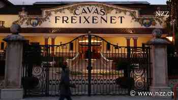 Trotz Rekorderlös: Der Schaumwein-Hersteller Freixenet beantragt Kurzarbeit für 80 Prozent seiner Belegschaft