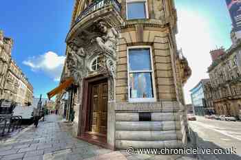 Newcastle city centre bar to reopen as Vampire Rabbit under new ownership