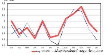 A bullish April cattle on feed report