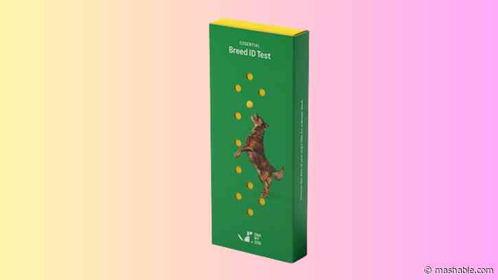 Save 15% on this top-rated dog DNA test
