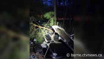 Forest collision leads to impaired driving charges