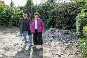 Werken in stadspark gestart: voormalige skateplek wordt extra groene zone