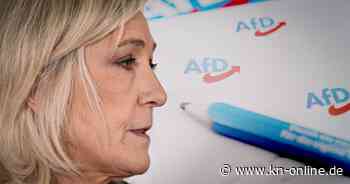 Die AfD – ein lästiger Partner für Frankreichs Rechtsextreme