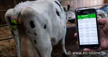 Landwirtschaft kann besonders von Digitalisierung profitieren – Experten entwickeln Fahrplan
