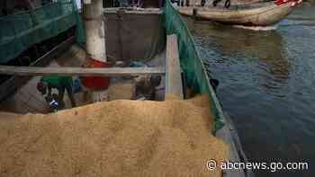 In Vietnam, farmers reduce methane emissions by changing how they grow rice