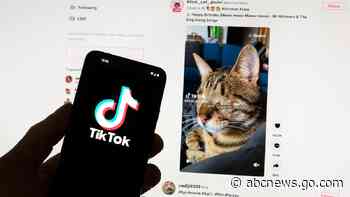 The EU ratchets up pressure on TikTok's new rewards app over risks to kids, warns of suspension