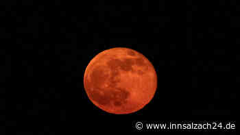 „Pink moon“: Warum der Vollmond im April nicht rosa leuchtet