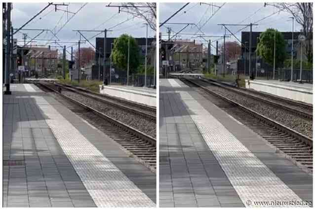 Beelden tonen hoe tienermeisjes over sporen lopen om selfies te nemen: “Verboden én levensgevaarlijk”