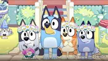 Did You Miss the New 'Bluey' Episodes? Here's How to Watch 'The Sign' and 'Surprise'     - CNET