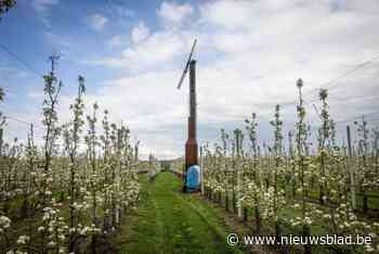 Hoe groot is de schade in de fruitsector na de recente nachtvorst?