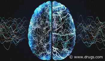 Structured Seizure Action Plan Beneficial for Adults With Epilepsy