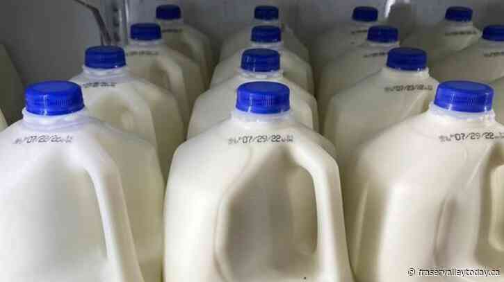 B.C. to increase local milk production with $25-million factory investment in Abbotsford
