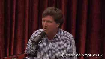 Tucker Carlson says there is 'no evidence' for Darwin's theory of evolution - and even his friend and boss Elon Musk says he doesn't agree