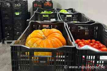 Gemeente stapt in proefproject voor voedselbedeling