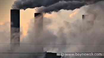 USF develops long-term plans to combat greenhouse gases in Tampa Bay area