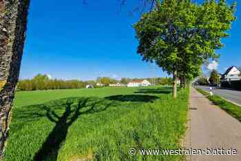 Acker in Spradow soll zu XXL-Wohnquartier werden