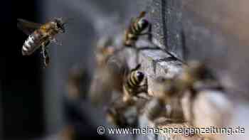 Nach Schnee und Frost in NRW: Wetter-Experte wagt krasse Prognose