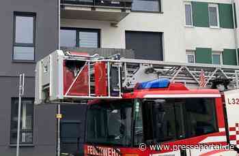 FW-HB: Kellerbrand / Zwei Personen und zwei Katzen gerettet