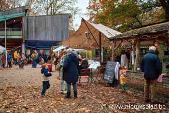 Steinerschool De Wingerd viert 40-jarig bestaan met feestelijke opendag en reünie