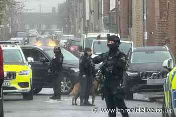 Man arrested after armed police descend on street in Northumberland town