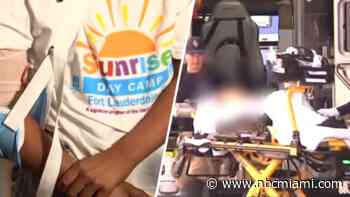 ‘I just went flying': 8-year-old victim of Hallandale Beach hit-and-run speaks