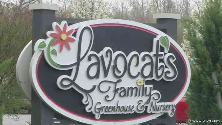 Helping feed our neighbors in need, one plant at a time