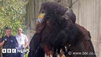 Animal ban over birds kept in 'appalling conditions'