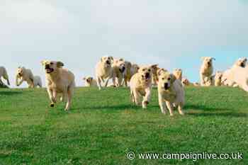 Tails.com enlists army of labradors for ‘otherworldly’ brand platform