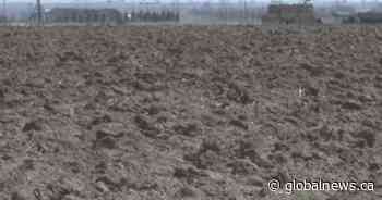 Alberta farmers adapting to province’s growing drought concerns