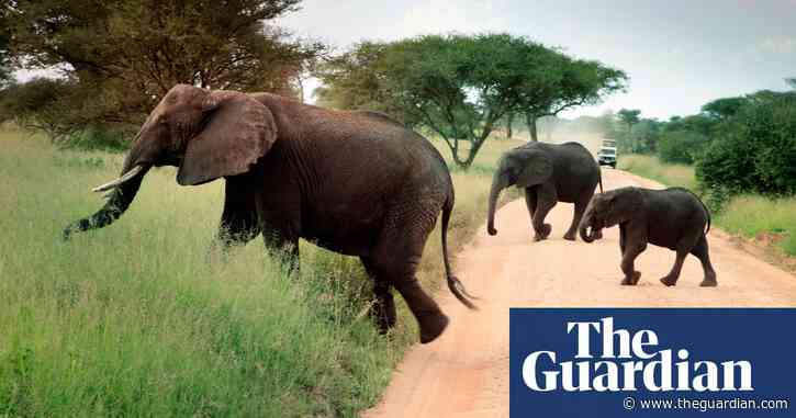 World Bank suspends Tanzania tourism funding after claims of killings and evictions