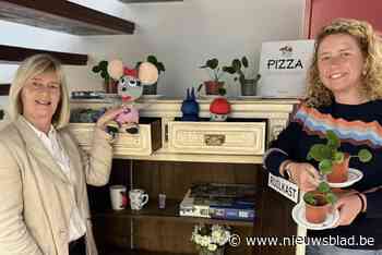 Bibliotheek Duffel start met ruilkast en plantenbibliotheek