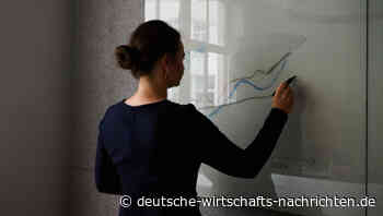 Frauen in Tech-Berufen: Deutliches Ungleichgewicht trotz wachsender Nachfrage